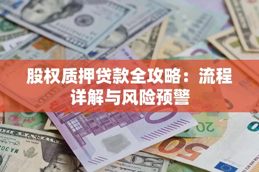 武汉股权质押贷款全攻略：流程详解与风险预警