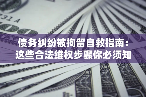 武汉债务纠纷被拘留自救指南：这些合法维权步骤你必须知道！