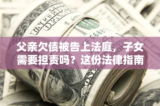 武汉父亲欠债被告上法庭，子女需要担责吗？这份法律指南必须看完