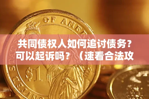 武汉共同债权人如何追讨债务？可以起诉吗？（速看合法攻略）